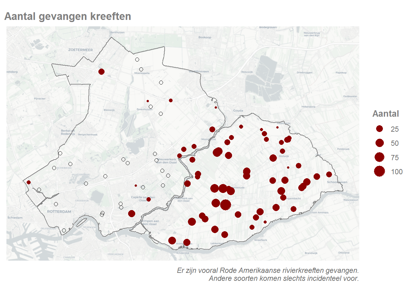 Kaart met de hoeveelheid gevangen kreeften per locatie. De open cirkels geven aan dat daar geen kreeften gevangen zijn.