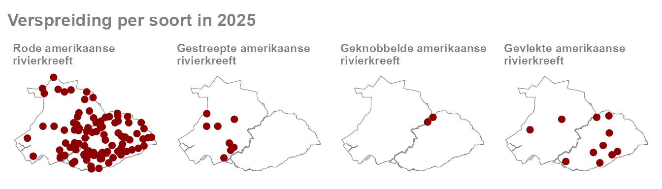 Groep kaartjes met vangsten per soort in 2025.