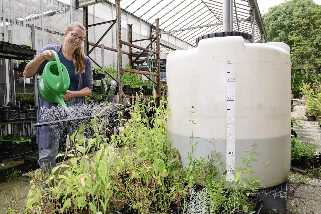 Eva Bes van Stadskwekerij de Kas