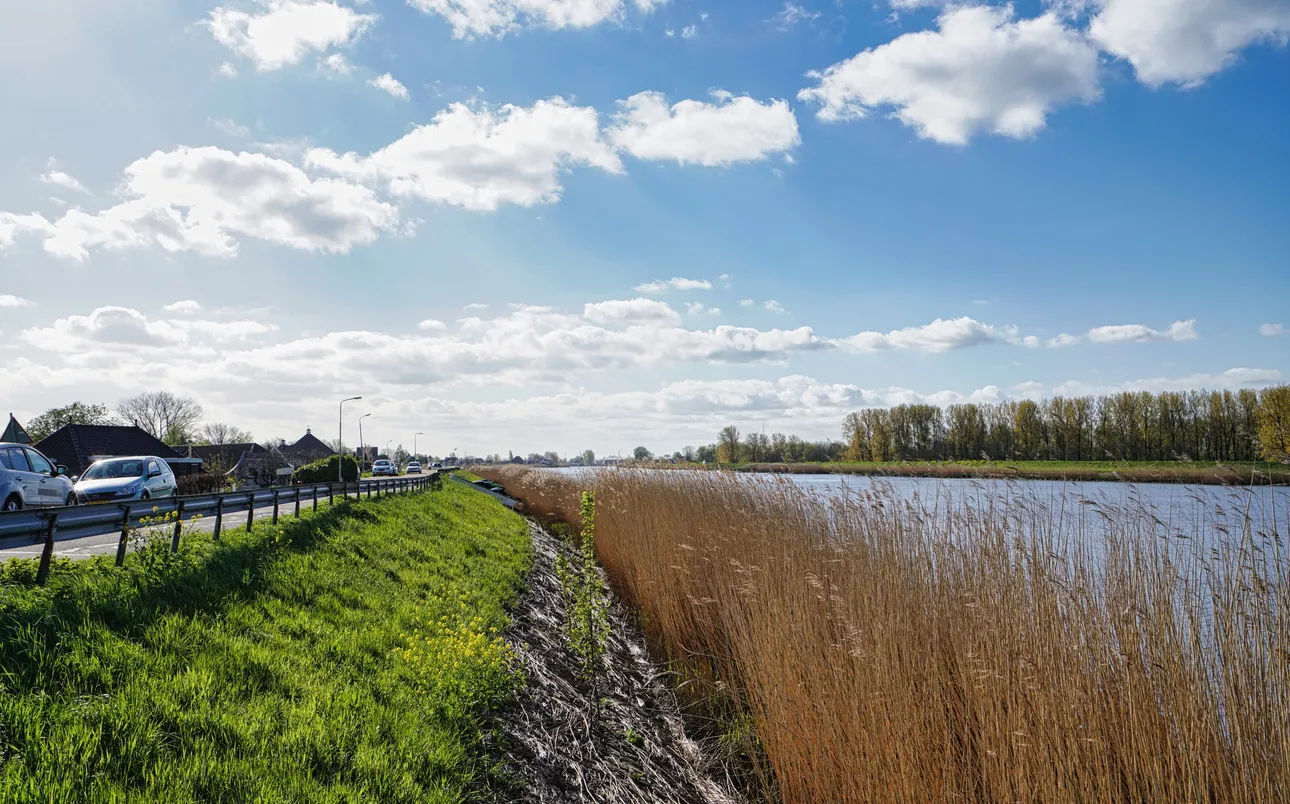 Dijk langs het water