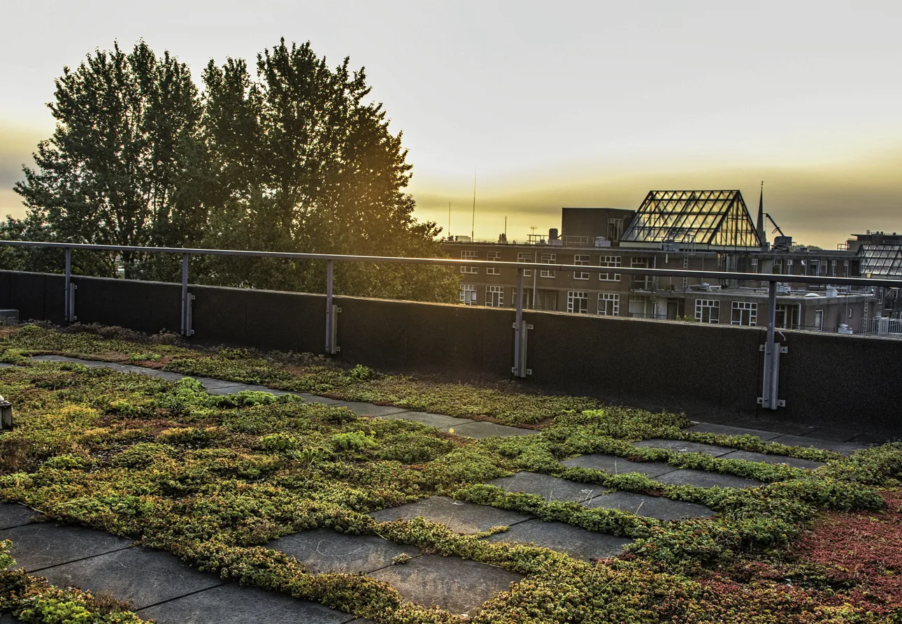 Daktuin kantoor hoogheemraadschap van Schieland en de Krimpenerwaard