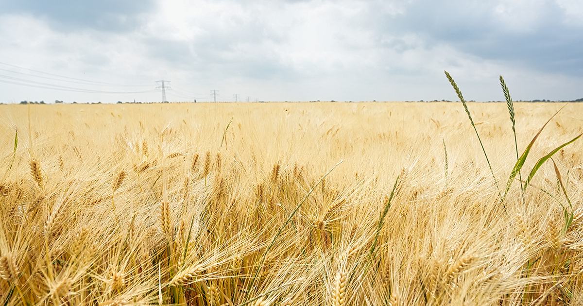 Maatregelen tegen droogte blijven effectief
