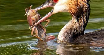 Waterkwaliteit verbetert, maar verdere inzet blijft nodig