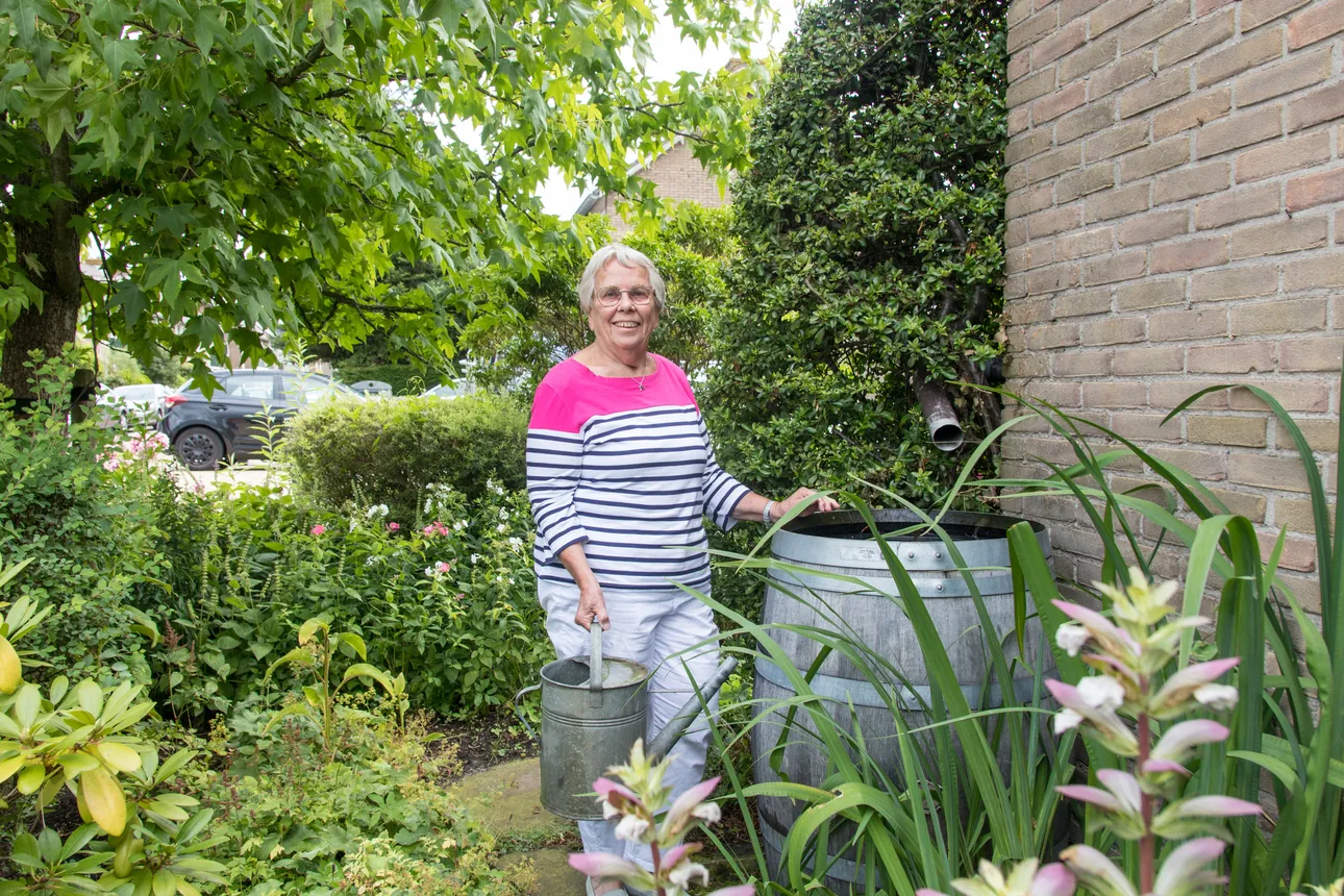 Klimaatbestendige tuin