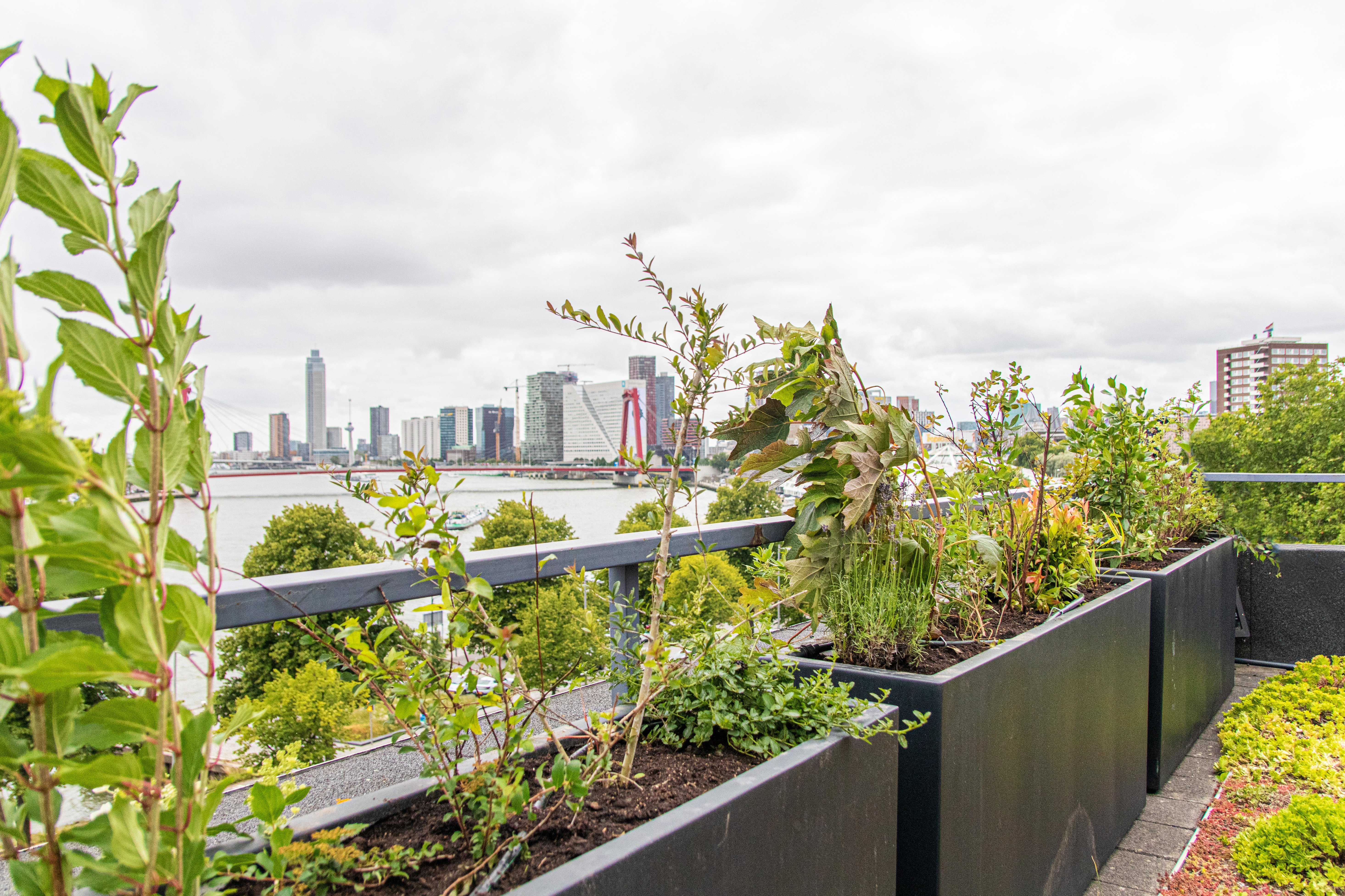 Vergroening hoofdkantoor