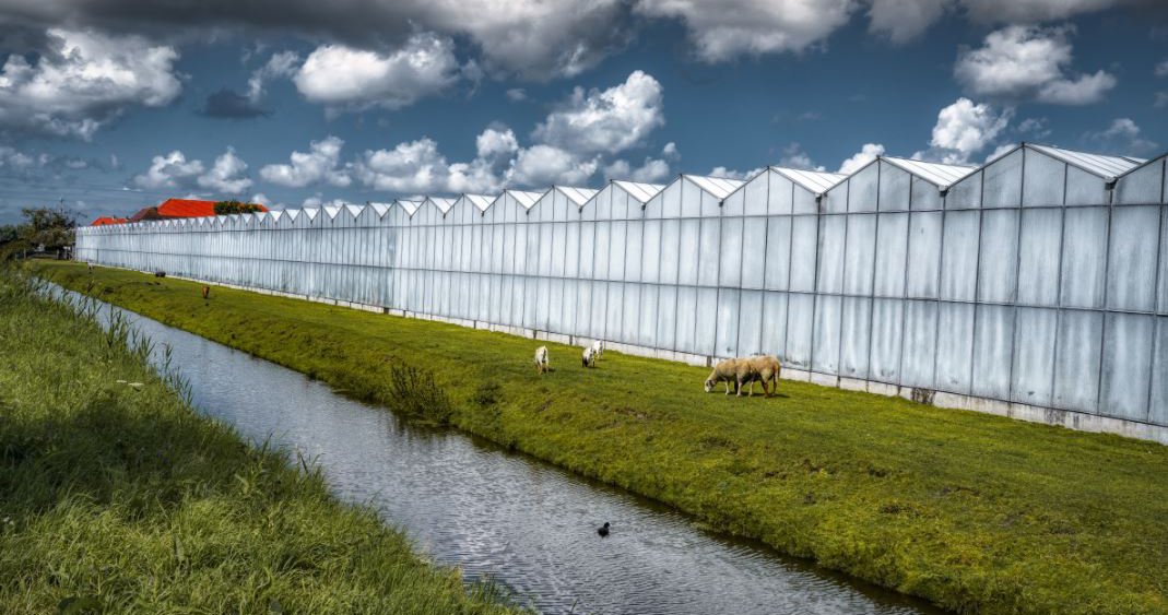 Milieurapportage glastuinbouw: opsturen vóór 1 mei