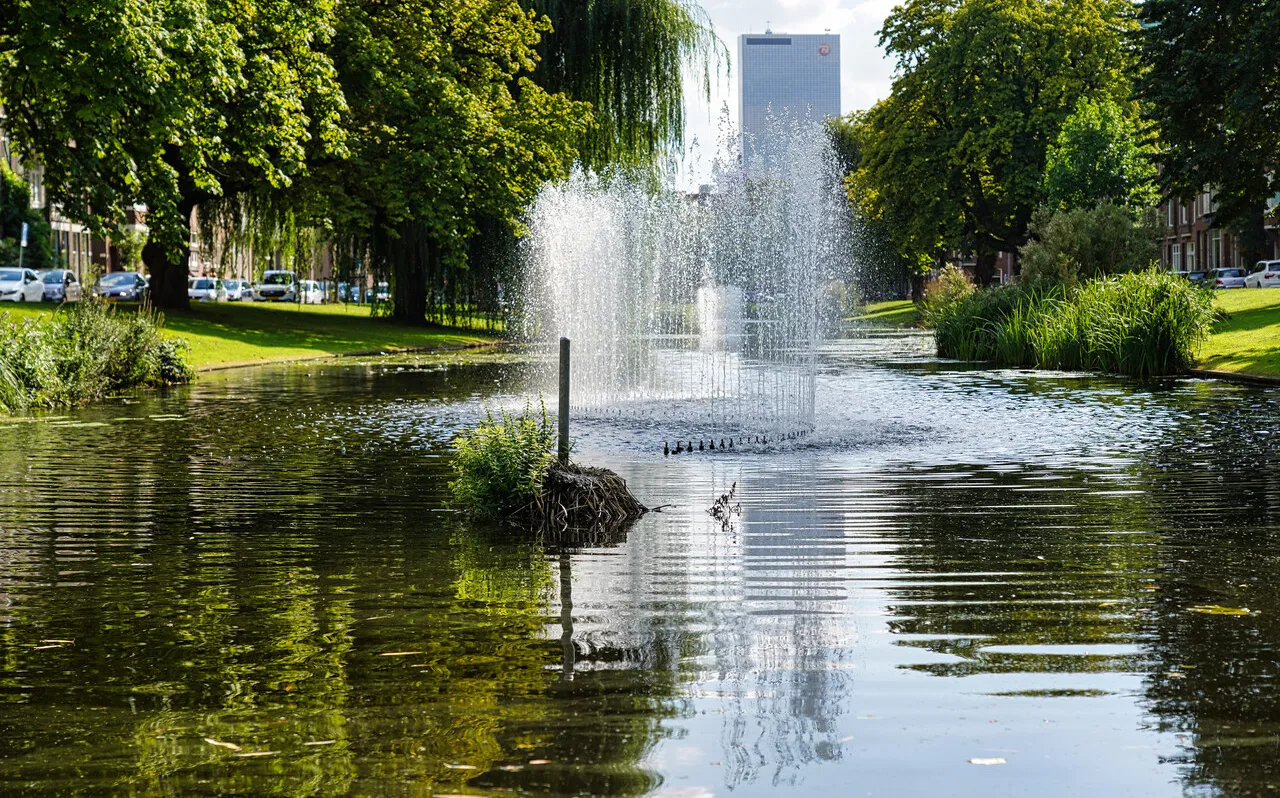Natuurvriendelijke oever