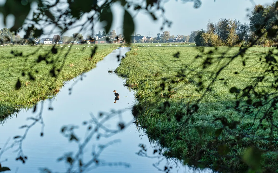 Sloot in de Krimpenerwaard