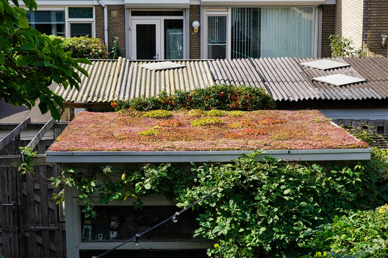 Groendak Marc van der Poel