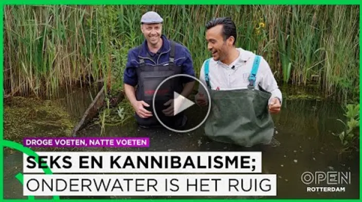 Video seks en kannibalisme
