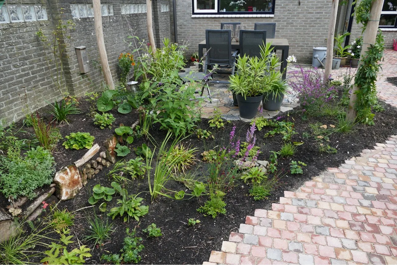 Voorbeeld vergroende tuin