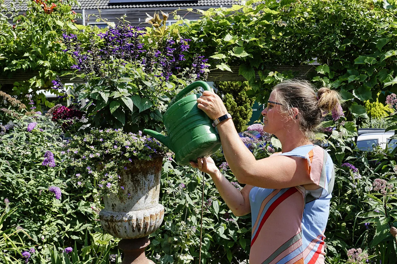 Tuin water geven met regenwater