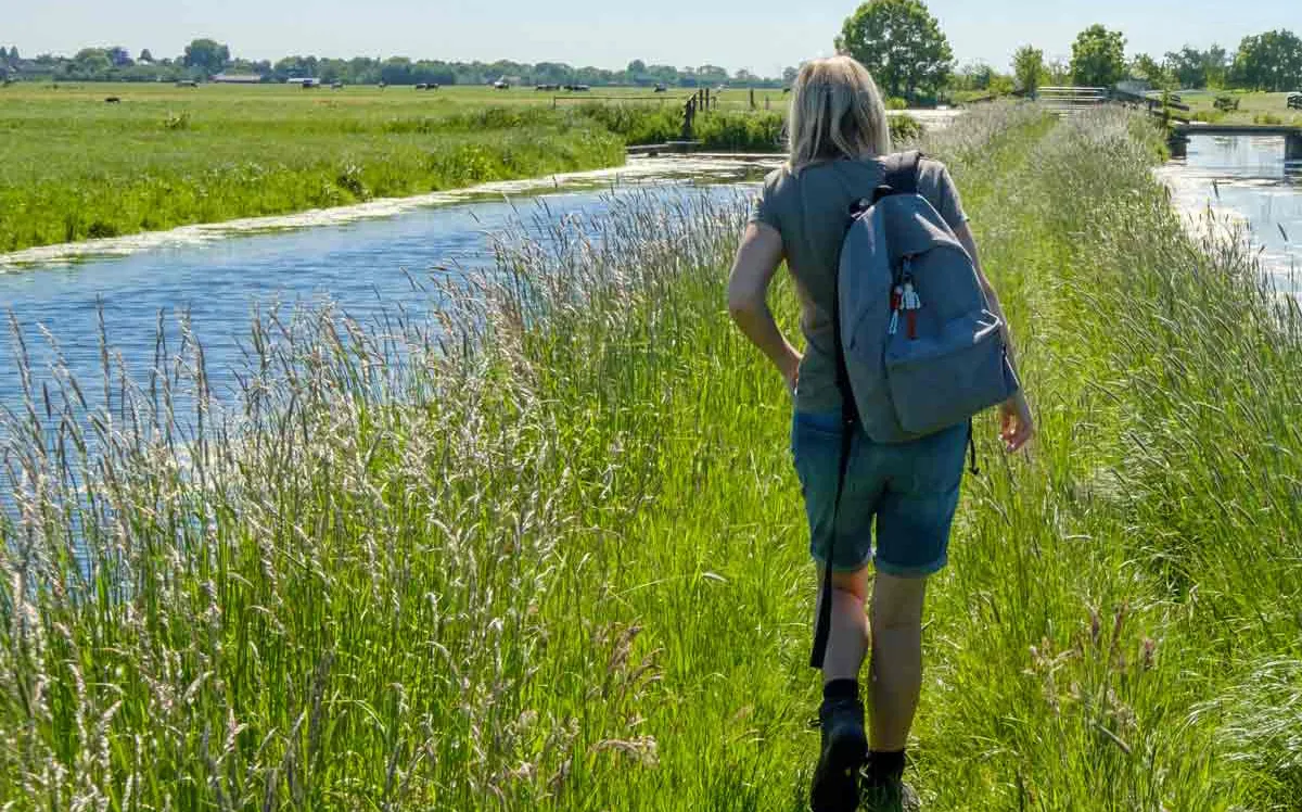 Wandelaar in de natuur