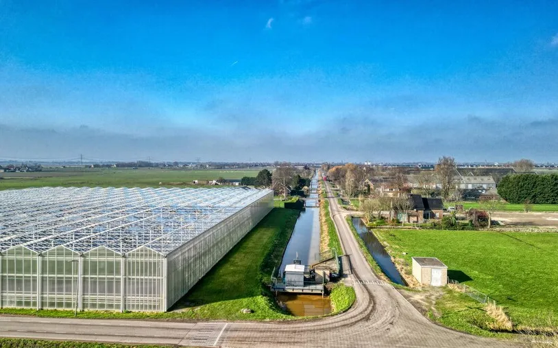 Water en kassen in Zevenhuizen