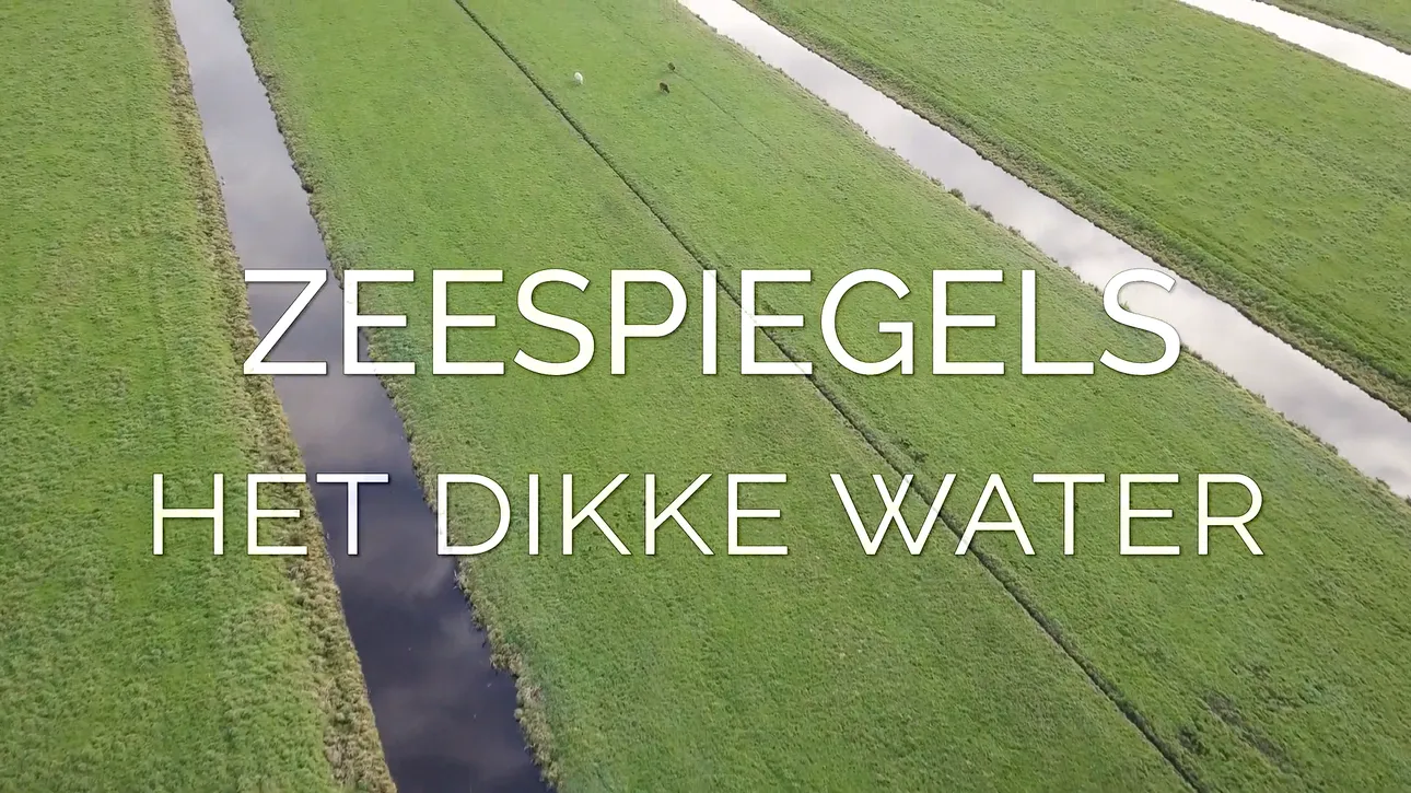 Screenshot serie Zeespiegels
