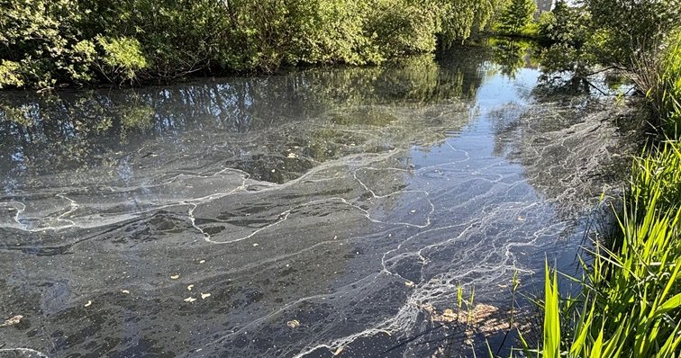 Update riooloverstorten Zoetermeer