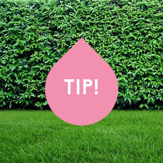 Tekst in beeld (roze druppel): tip